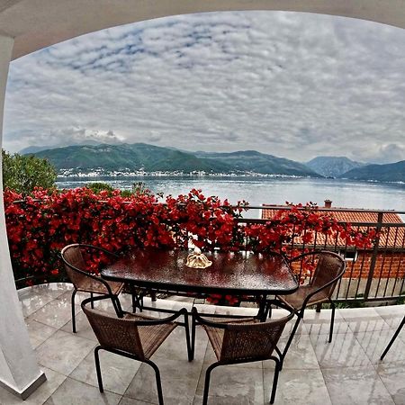 Apartments Obradovic Krasići Esterno foto
