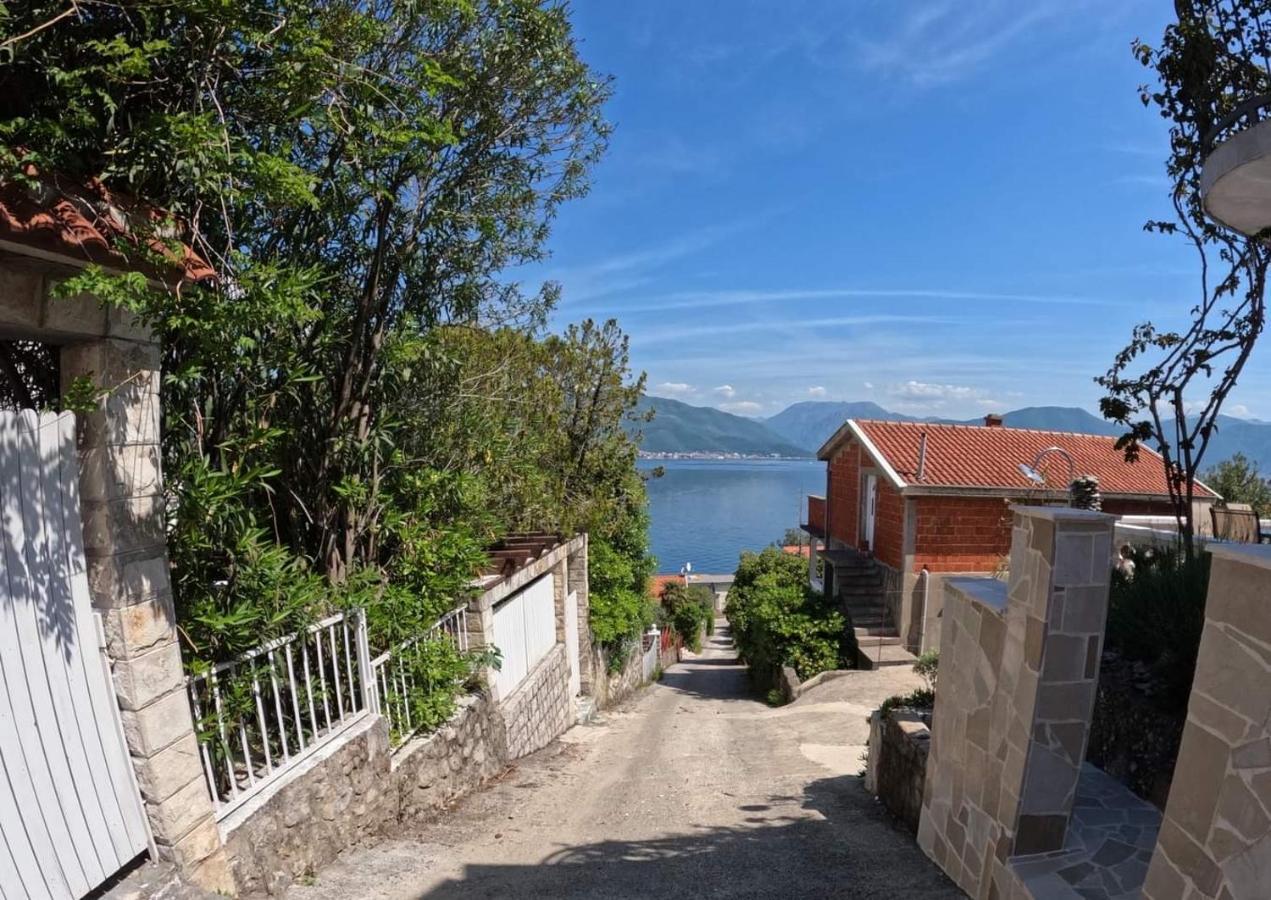 Apartments Obradovic Krasići Esterno foto
